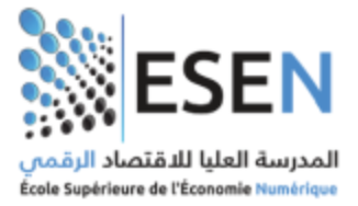Ecole Supérieure d'Economie Numérique Manouba